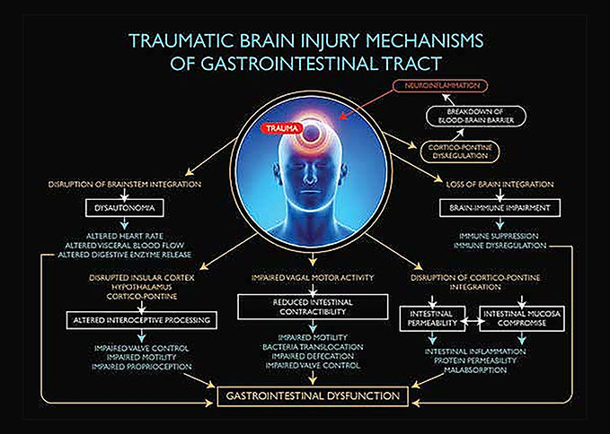 Diagram: mechanisms linking traumatic brain injury and the gastrointestinal tract
